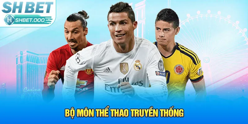 Bộ môn thể thao truyền thống