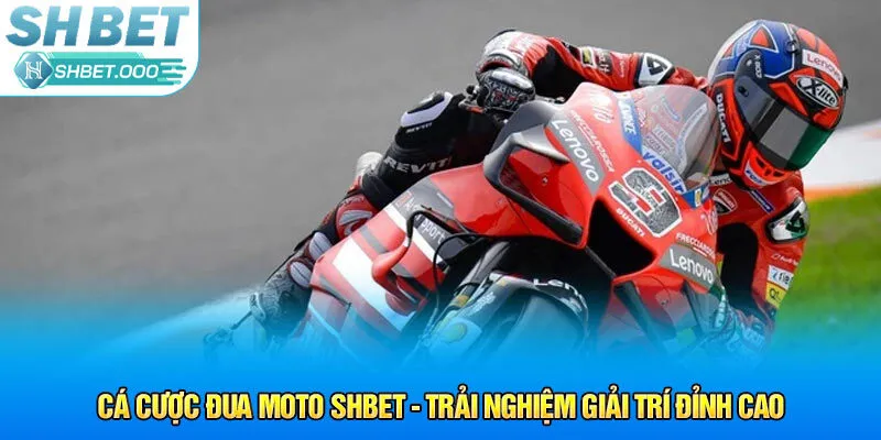 cá cược đua moto shbet