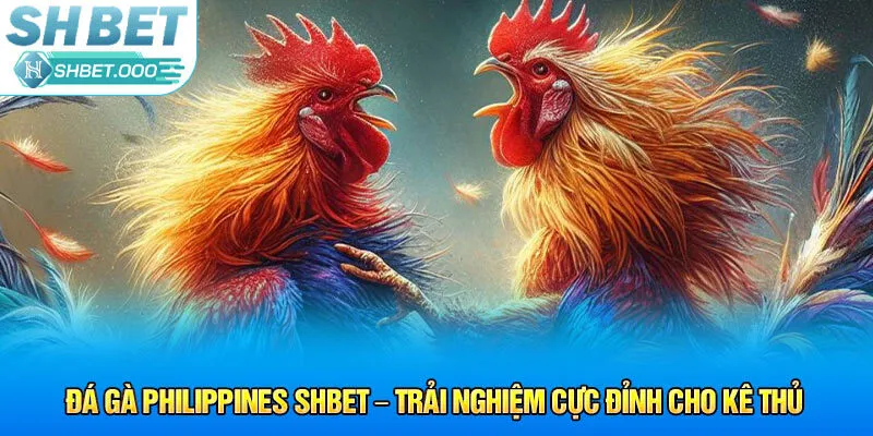 Sơ qua về đá gà Philippines Shbet 