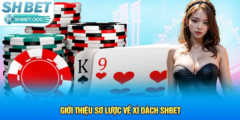 Giới thiệu sơ lược về xì dách Shbet