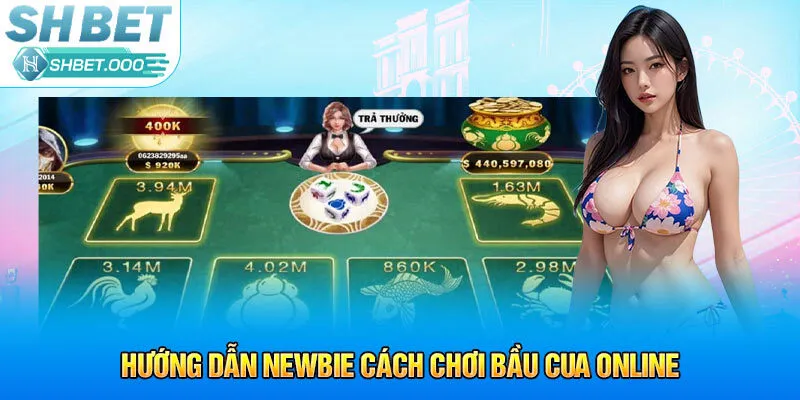 Hướng dẫn newbie cách chơi bầu cua online