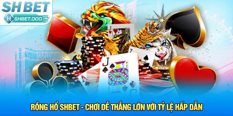 Làm theo các bước trên để chơi game Rồng Hổ Shbet