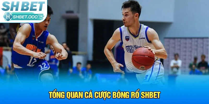 Tổng quan cá cược bóng rổ Shbet