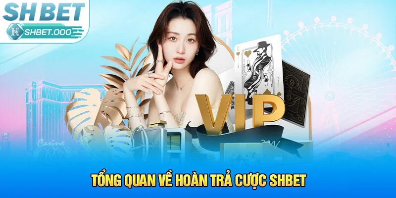 Tổng quan về hoàn trả cược SHbet