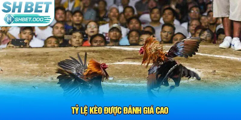 Tỷ lệ kèo được đánh giá cao 